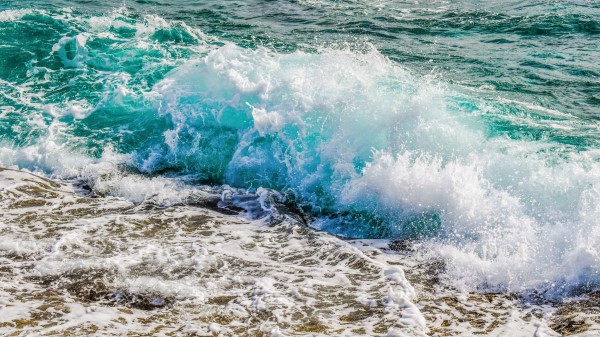 Ocean Shore Foam Spray Wallpaper