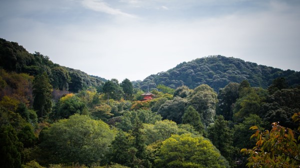 Pagoda Building Trees Wallpaper