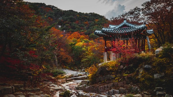 Pagoda Garden Trees Wallpaper