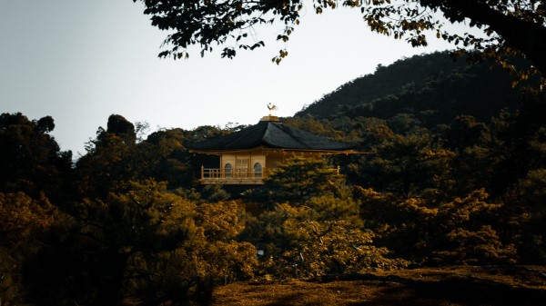 Pagoda Temple Trees Wallpaper