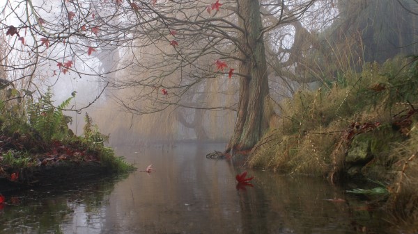 Painting Art Trees Lake Leaves Shrubs Fog Wallpaper