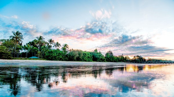Palm Beach Coast Wallpaper