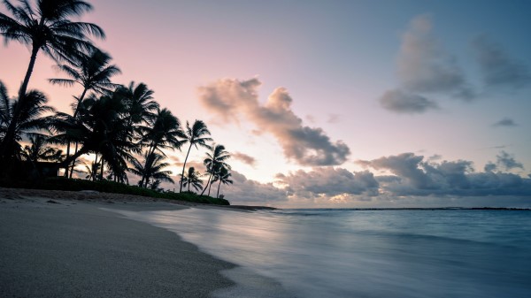 Palm Coast Beach Image Wallpaper