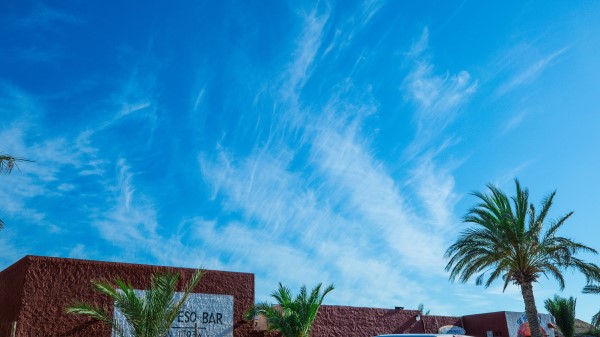 Palm Tree Sky Summer Wallpaper