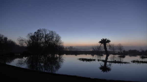 Palm Tree Sunset Water Wallpaper