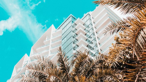 Palm Trees Building Tropics Wallpaper