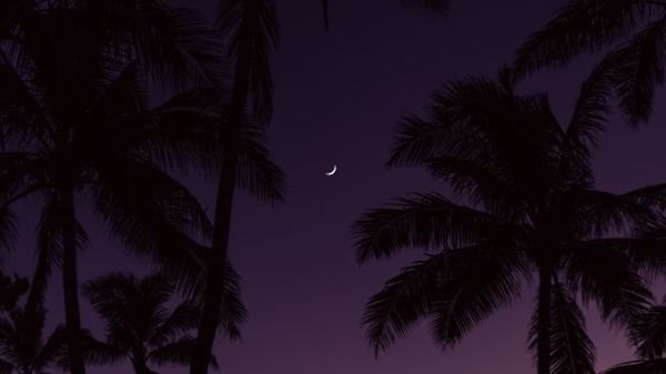 Palm Trees Month Sunset Wallpaper