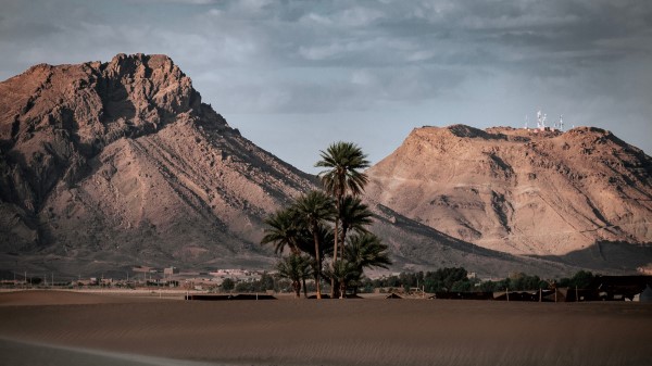 Palm Trees Mountains Desert Wallpaper
