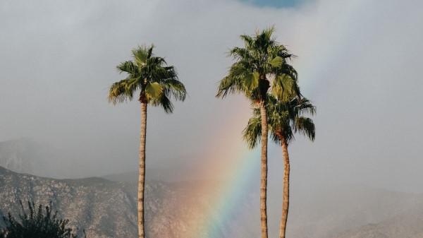 Palm Trees Rainbow Cloud wallpaper