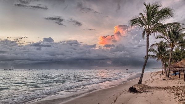 Palms Beach Sand Wallpaper