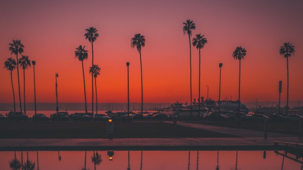 Palms Sunset San Diego Wallpaper
