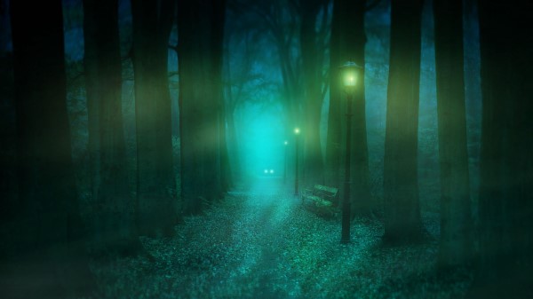Park Fog Lantern Wallpaper