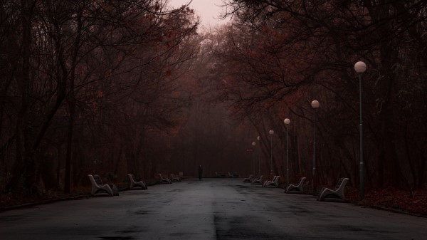 Park Fog Silhouette Wallpaper