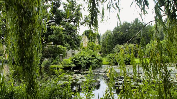 Park Pond Trees Branches Landscape Wallpaper