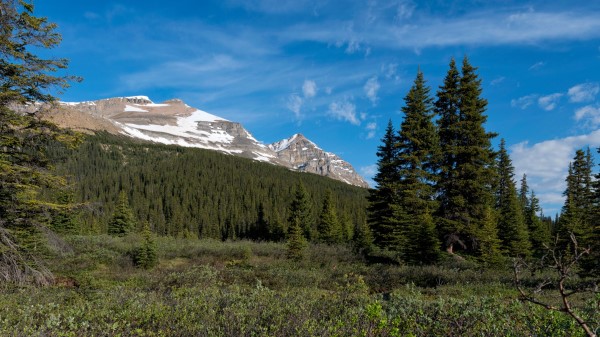 Parks Canada Mountain Forest Landscape Bushes Natur Wallpaper