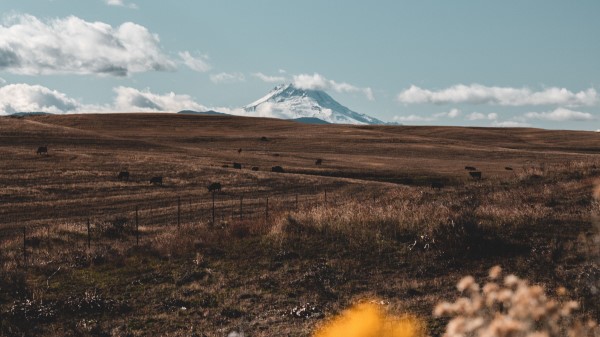 Pasture Mountain Peak Wallpaper