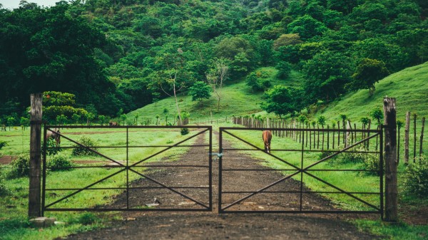 Pasture Stable Gates Trees Grass Wallpaper