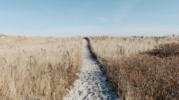 Path Sand Grass Wallpaper