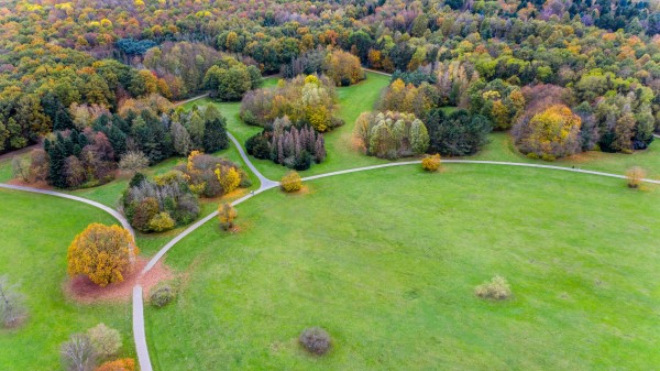 Paths Field Aerial View Wallpaper