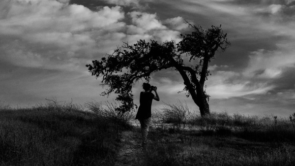 Photographer Field Bw Wallpaper