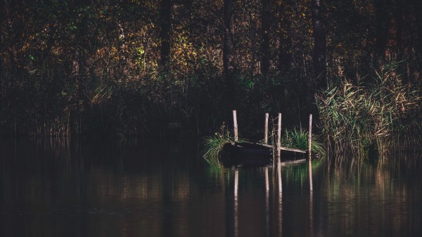 Pier River Trees Wallpaper