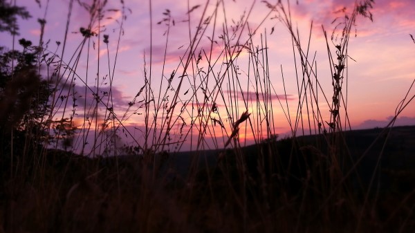 Pink Sky Nature Image Wallpaper