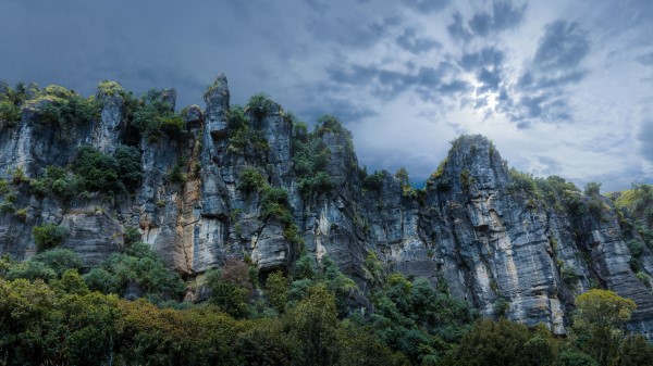 Piopio New Zealand Rocks Stones Grass Trees Wallpaper