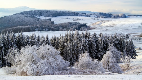 Poppenhausen Germany Snow Forest Wallpaper
