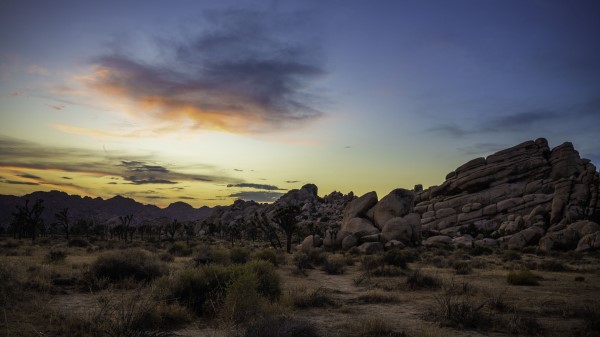 Prairie Rocks Trees Wallpaper