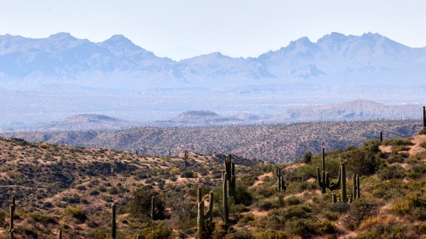 Prairies Cacti Mountains Wallpaper