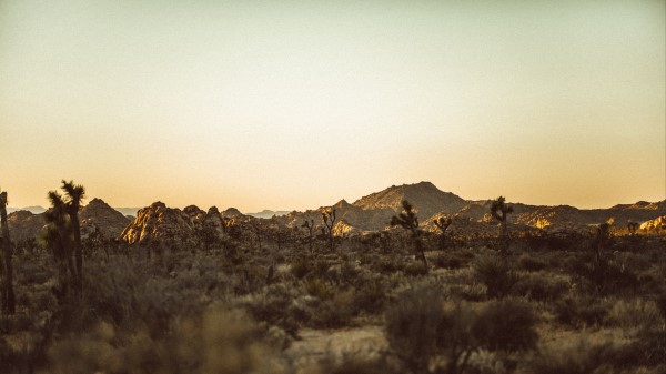 Prairies Desert Valley Wallpaper