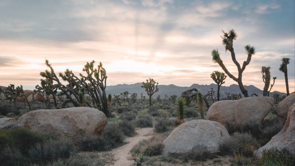 Prairies Valley Stones Wallpaper