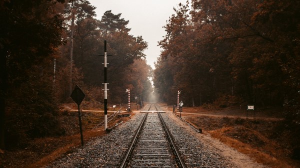 Railroad Rails Autumn Wallpaper