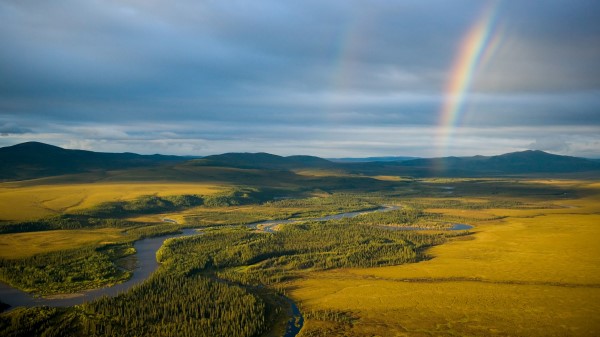 Rainbow Field River Wallpaper