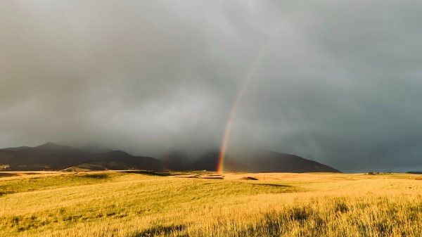 Rainbow Fog Grass Wallpaper