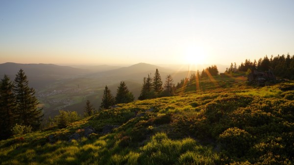 Rays Slope Grass Wallpaper
