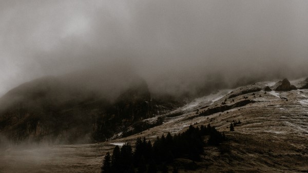 Relief Fog Trees Wallpaper