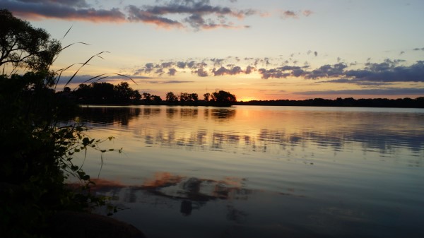 River Branches Leaves Wallpaper