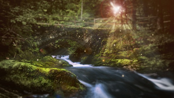 River Bridge Sunlight Wallpaper
