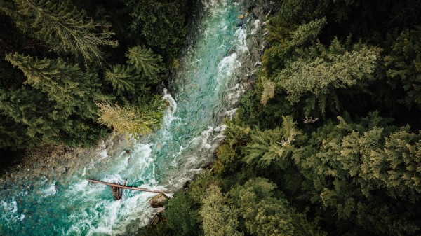 River Forest Aerial View Image Wallpaper
