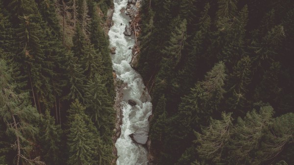 River Forest Aerial View Wallpaper