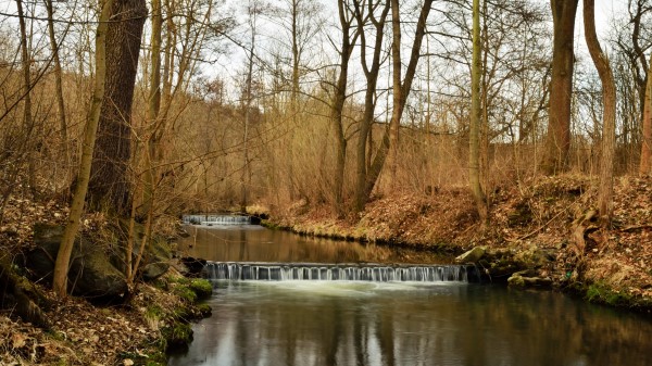 River Forest Nature Image wallpaper
