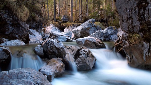River Forest Rocks Natur Wallpaper