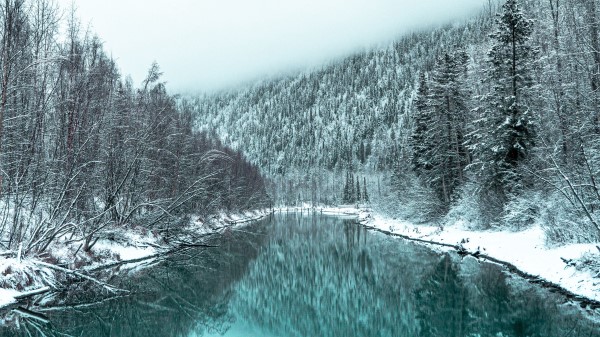 River Forest Snowy Wallpaper