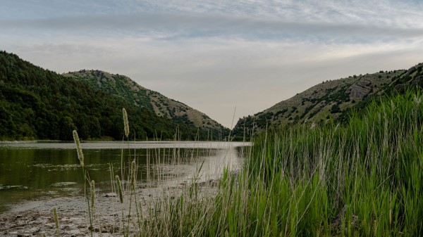 River Grass Hills wallpaper