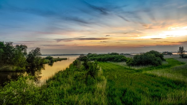 River Horizon Bushes Wallpaper
