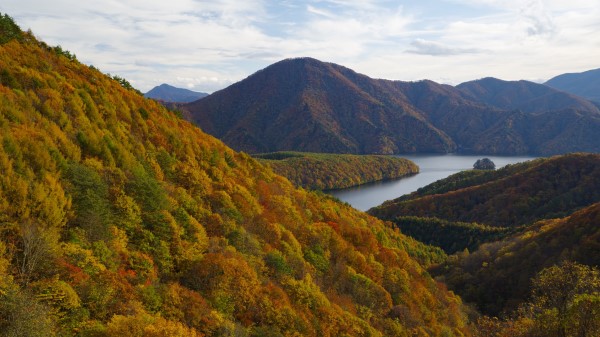 River Mountains Forest Ddd Wallpaper