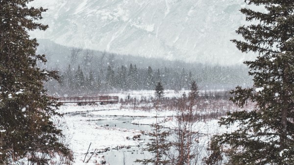 River Mountains Forest Wallpaper