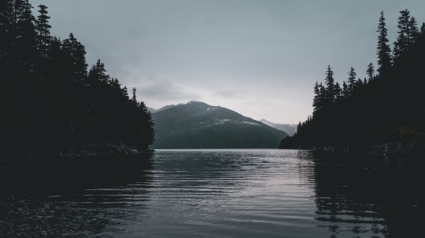 River Mountains Trees Wallpaper