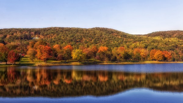 River Pond Trees Reflection Wallpaper